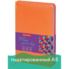 Ежедневник недатированный А5 Brauberg Rainbow 136 листов 111668 (2)