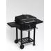 Гриль стационарный GoGarden Grill-Master 60 Pro 50143